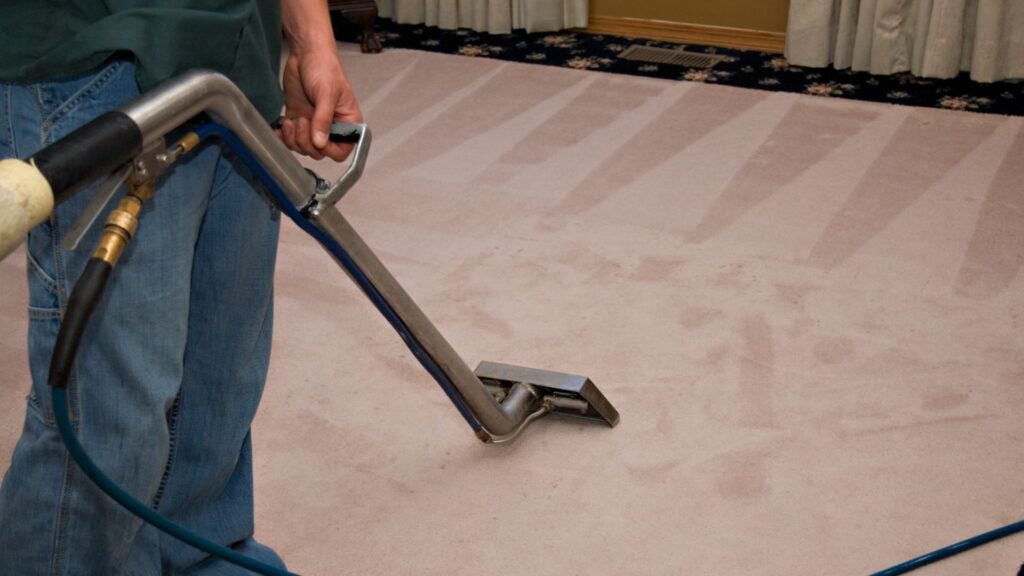 Area Rug Cleaning Services: Reviving the Beauty of Your Most Treasured Floor Coverings